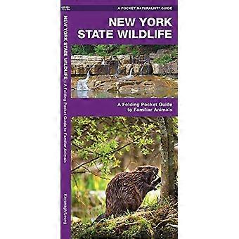 Stan Nowy Jork Wildlife: Wprowadzenie do znanych gatunków
