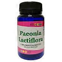 Paeonia Lactiflora 60 capsules