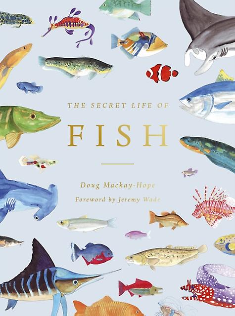The Secret Life Of Fish by Doug MackayHope Paperback Book