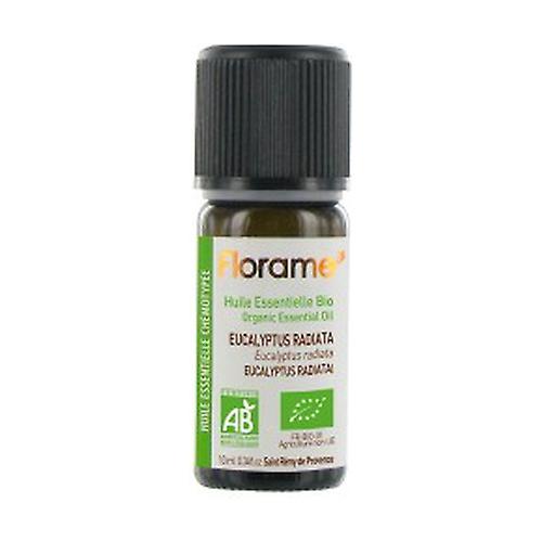 He Eucalyptus Radiata 10 ml of essential oil