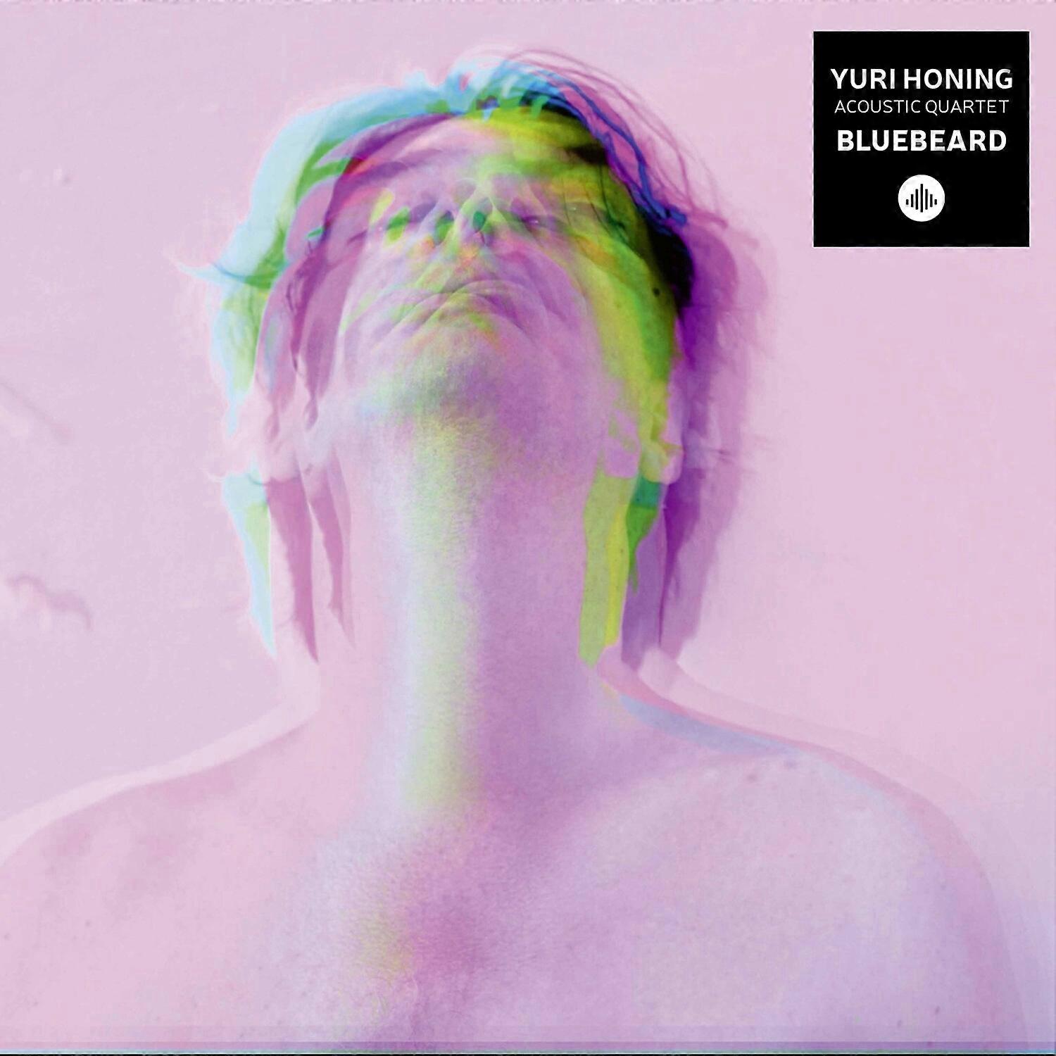 Honing - Bluebeard  [COMPACT DISCS] USA import