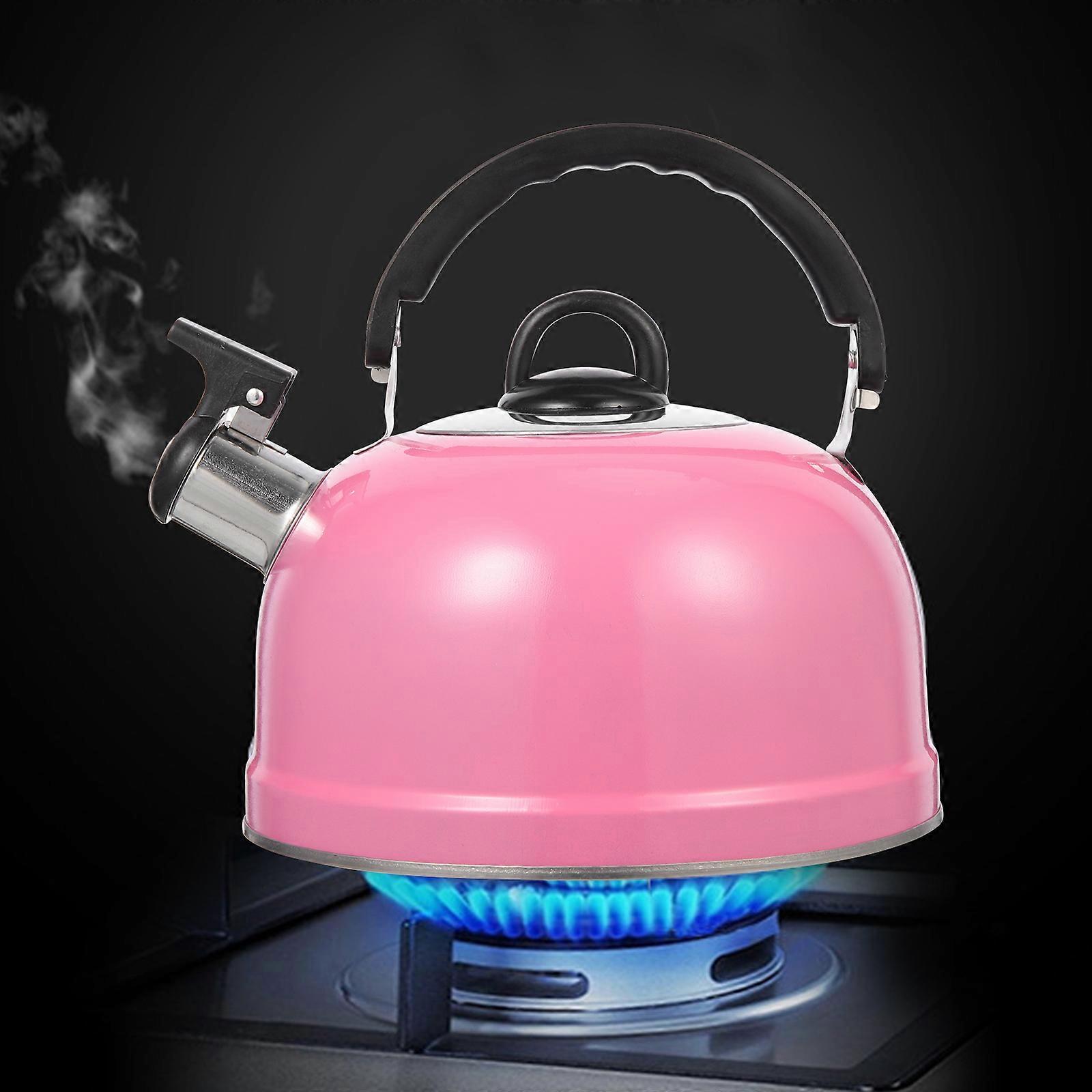 Hot Water Pot Practical Kettle Convenient Pot With Handle Kettle Pot for Boiling Water