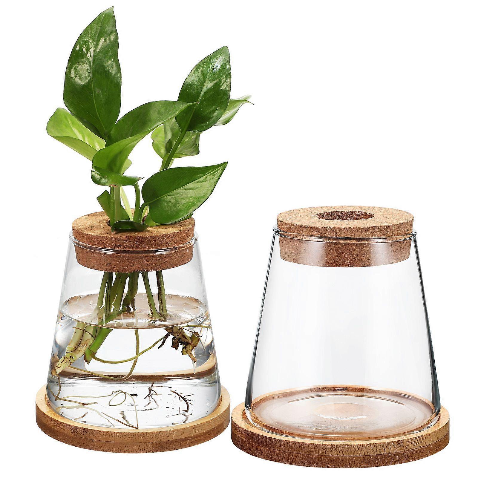2pcs Plants Propagation Station Water Planting Glass Bottles Clear Glass Vases with Base 330ml