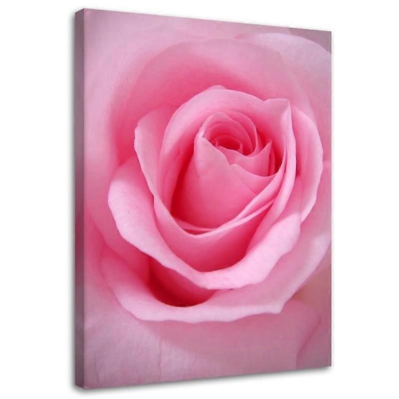 Lienzo, Flor de pétalos de rosa - 40x60