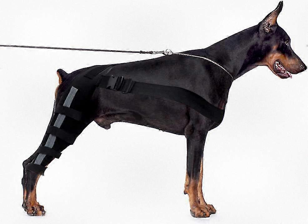 Reflective Dog Knee Support with Safety Seat Straps
