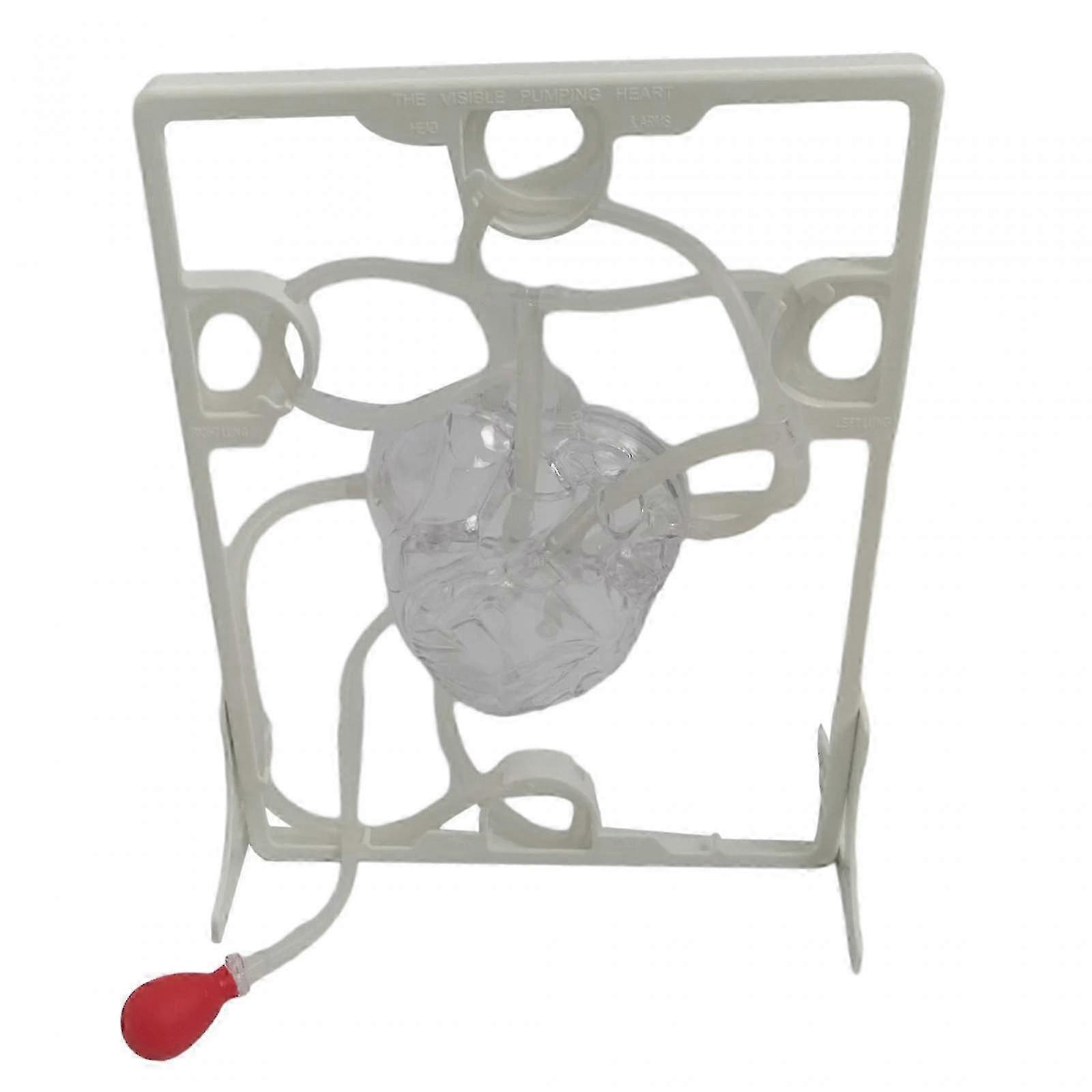 Teaching Aids for Simulating Blood Circulation Models in Classroom for Enhanced Student Learning