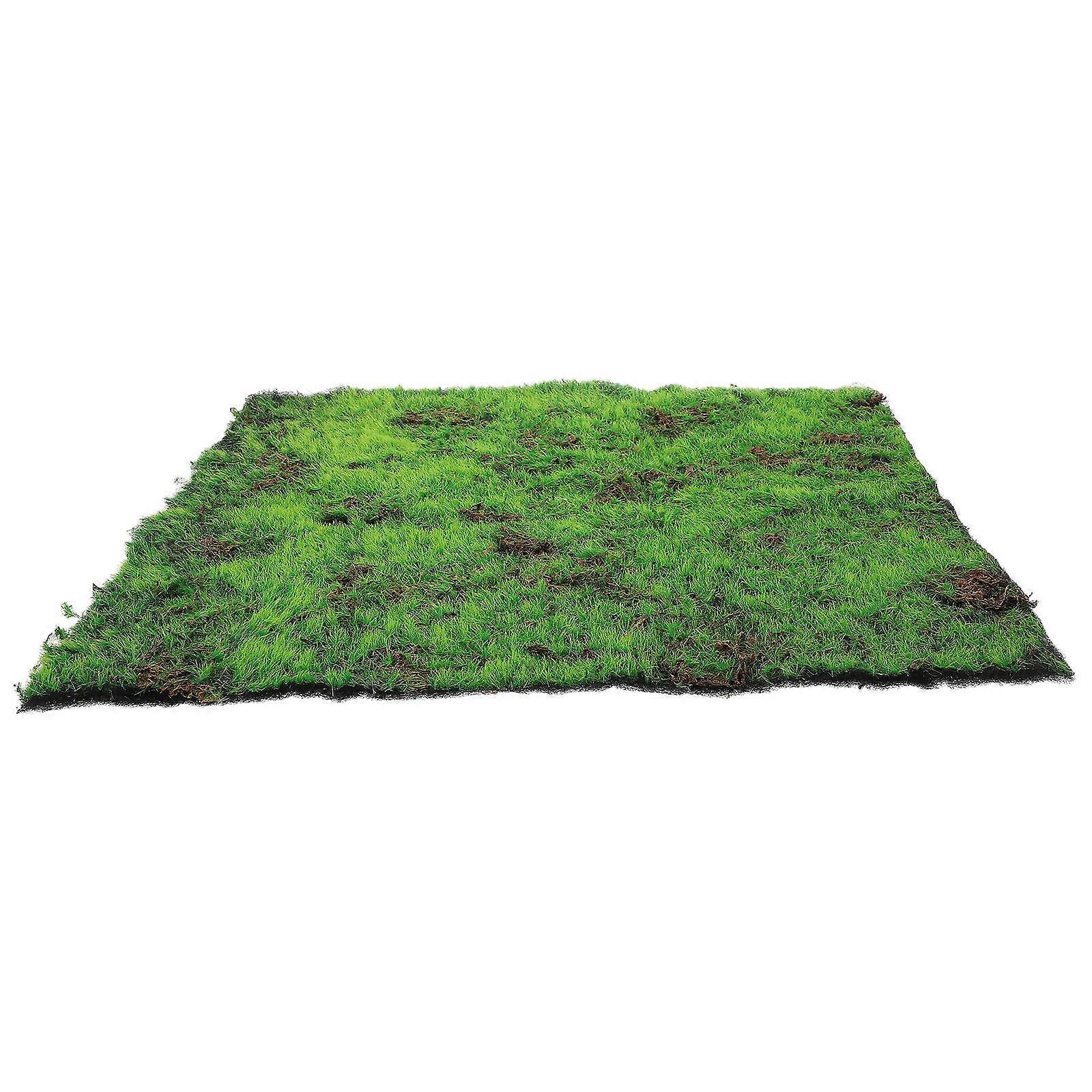 Micro Landscape Accessory Decorative Plants 50x50x1.5cm 1Pcs