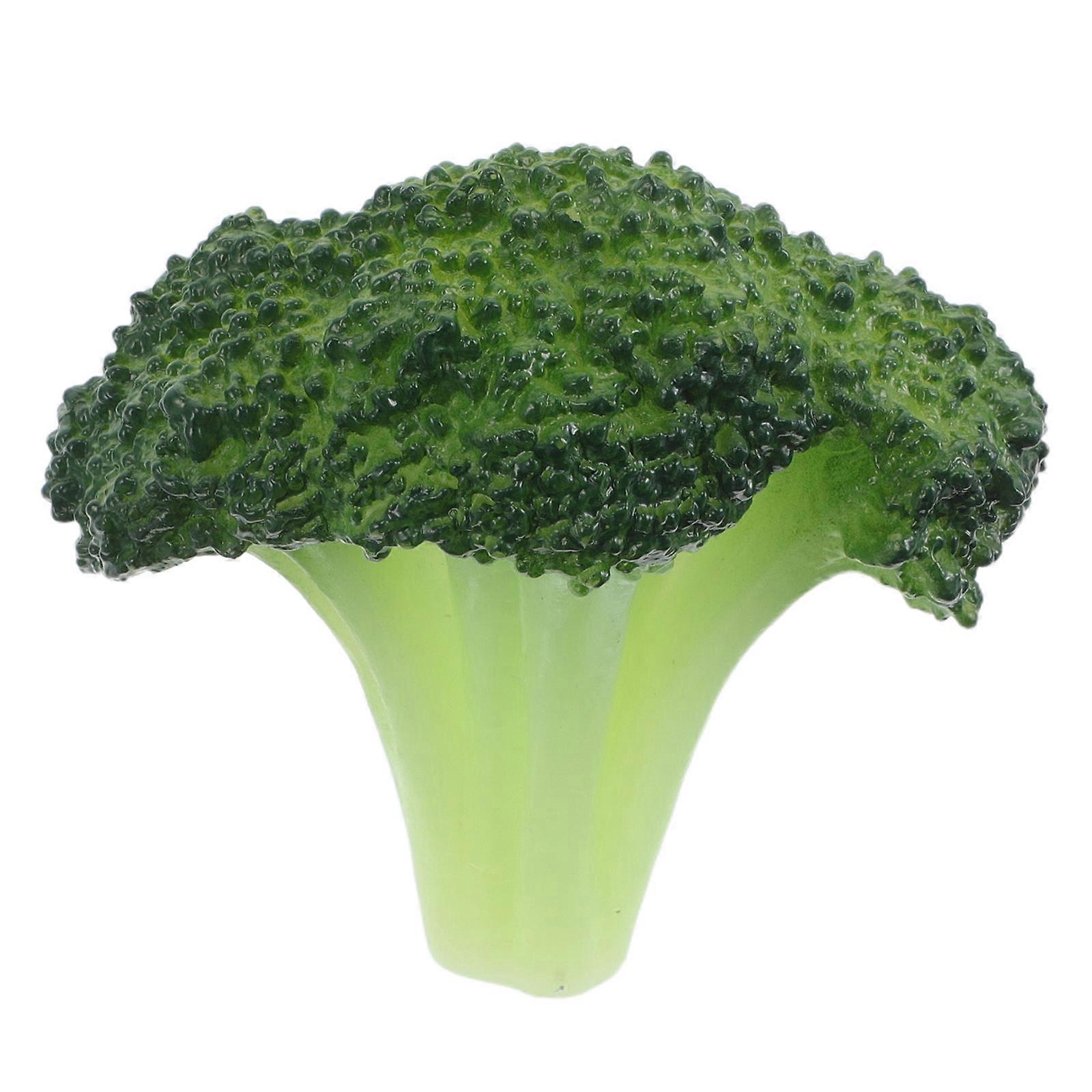 Freckle Makeup Tool Faux Broccoli Stamp for Easy Blending 4Pcs