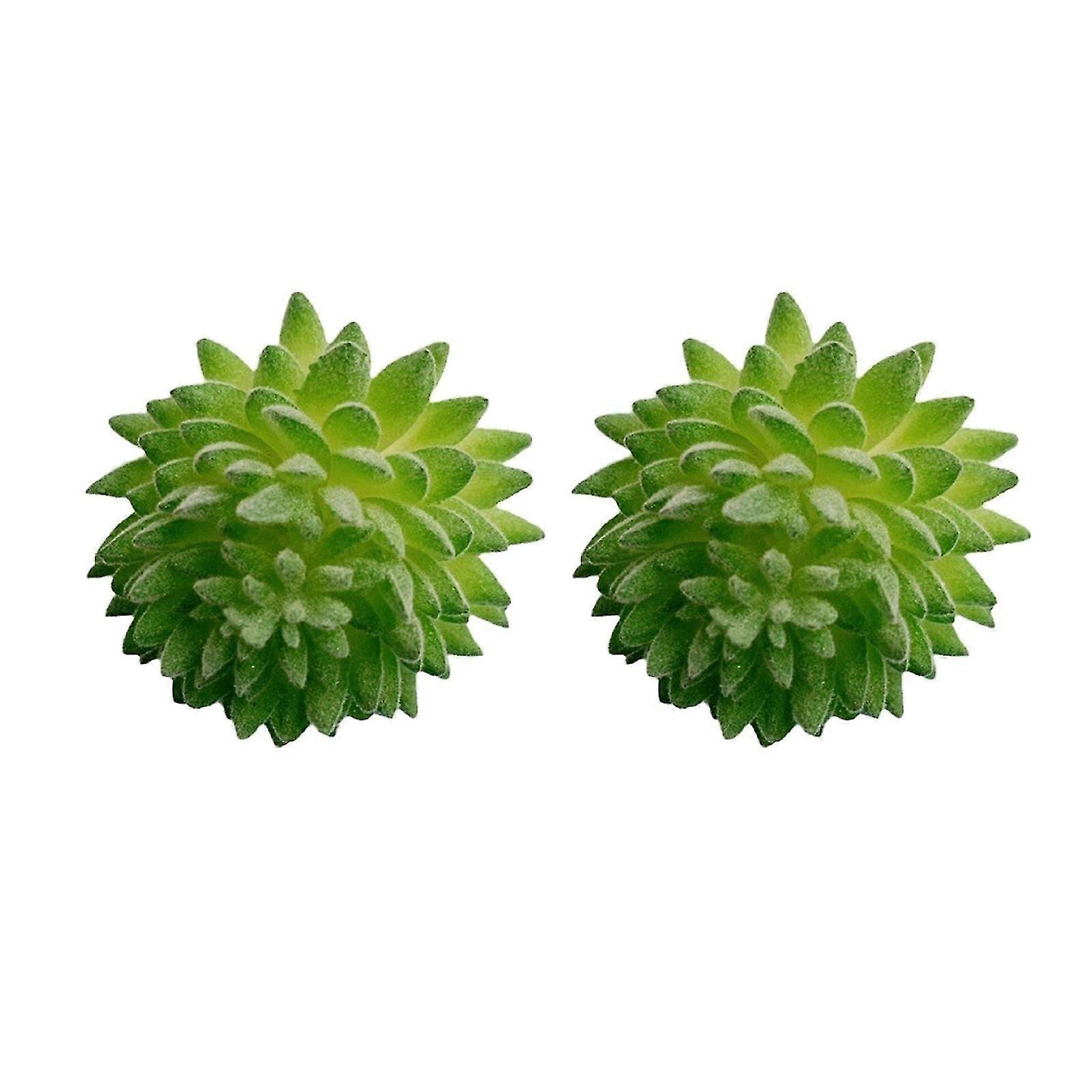 Aloe Succulent Resin Stud Earrings for Women's