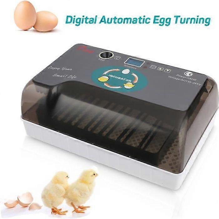12 Eggs Automatic Incubator for Poultry Intelligent Digital - Temperature Control - Grey