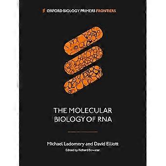 De moleculaire biologie van RNA