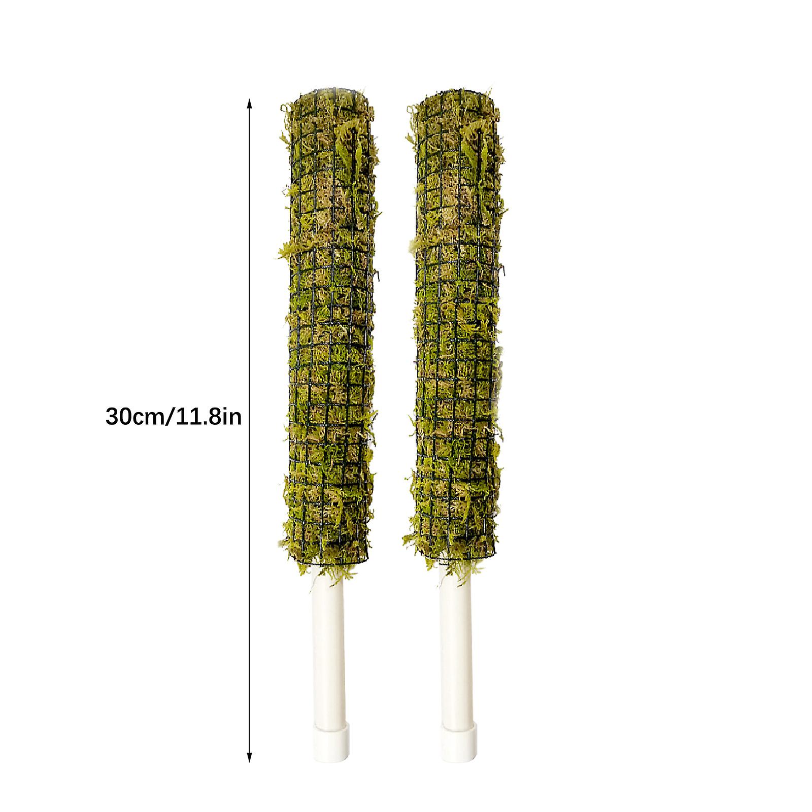 100%新品、30 / 40cm苔ポール、植物用苔ポールモンステラ-登山植物用天然林の苔柱に拡張