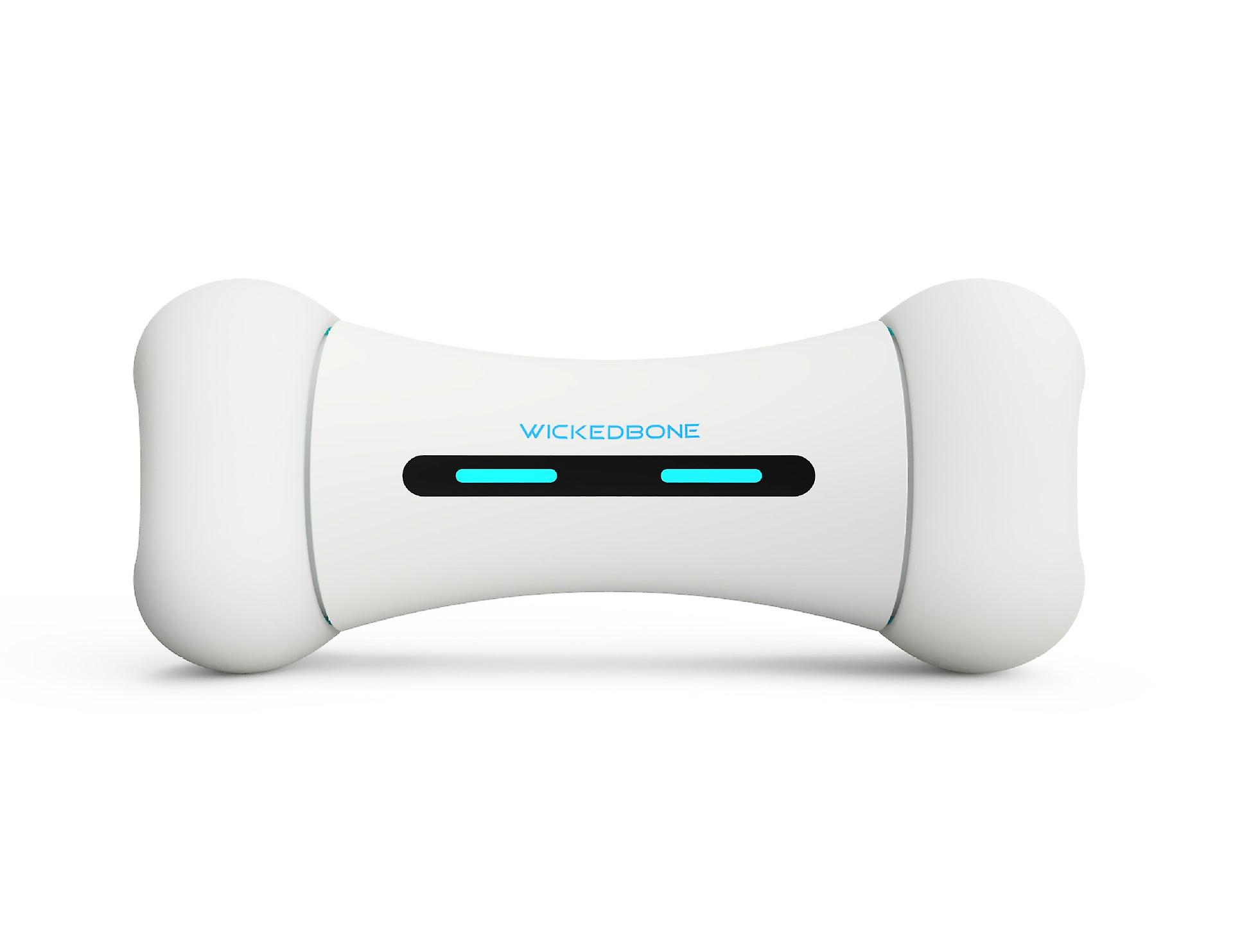 Crazy Bone Driven Board Smart Pet Toy