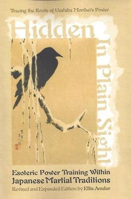 Hidden In Plain Sight by Ellis Amdur Paperback Book