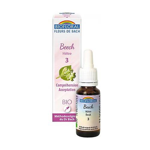 Organic beech 20 ml of floral elixir