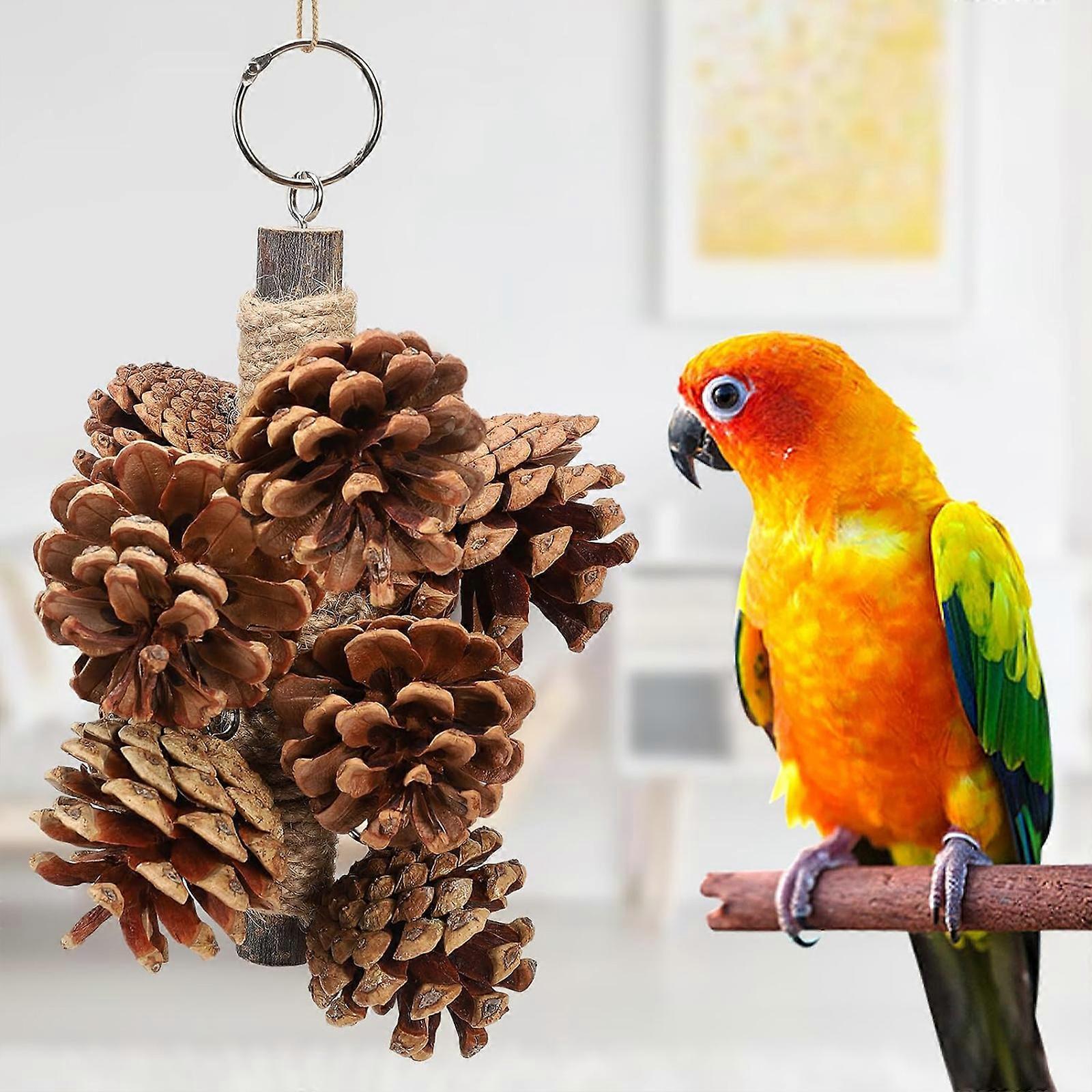 الببغاوات الصنوبر مخروط لعبة المضغ, طبيعي الببغاء اللعب الخشبية, معلقة عصي المضغ اللعب