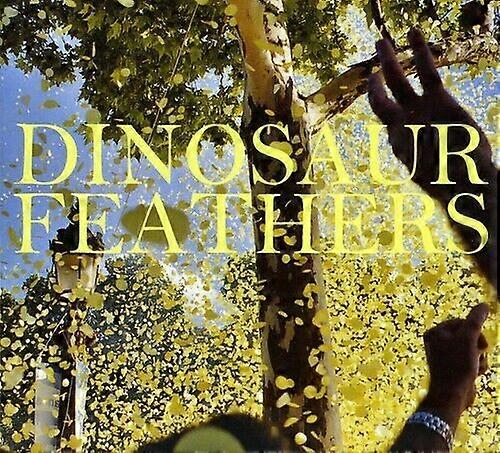 Dinosaur Feathers Whistle Tips CD