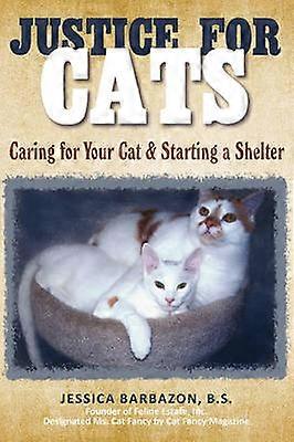 Justice For Cats Caring for Your Cat  Starting a Shelter