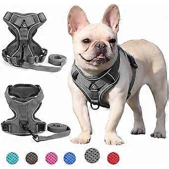 Harness for small and medium-sized dogs (Grey L)