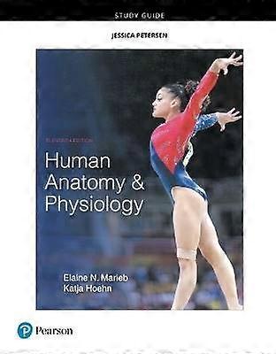 Study Guide for Human Anatomy & Physiology