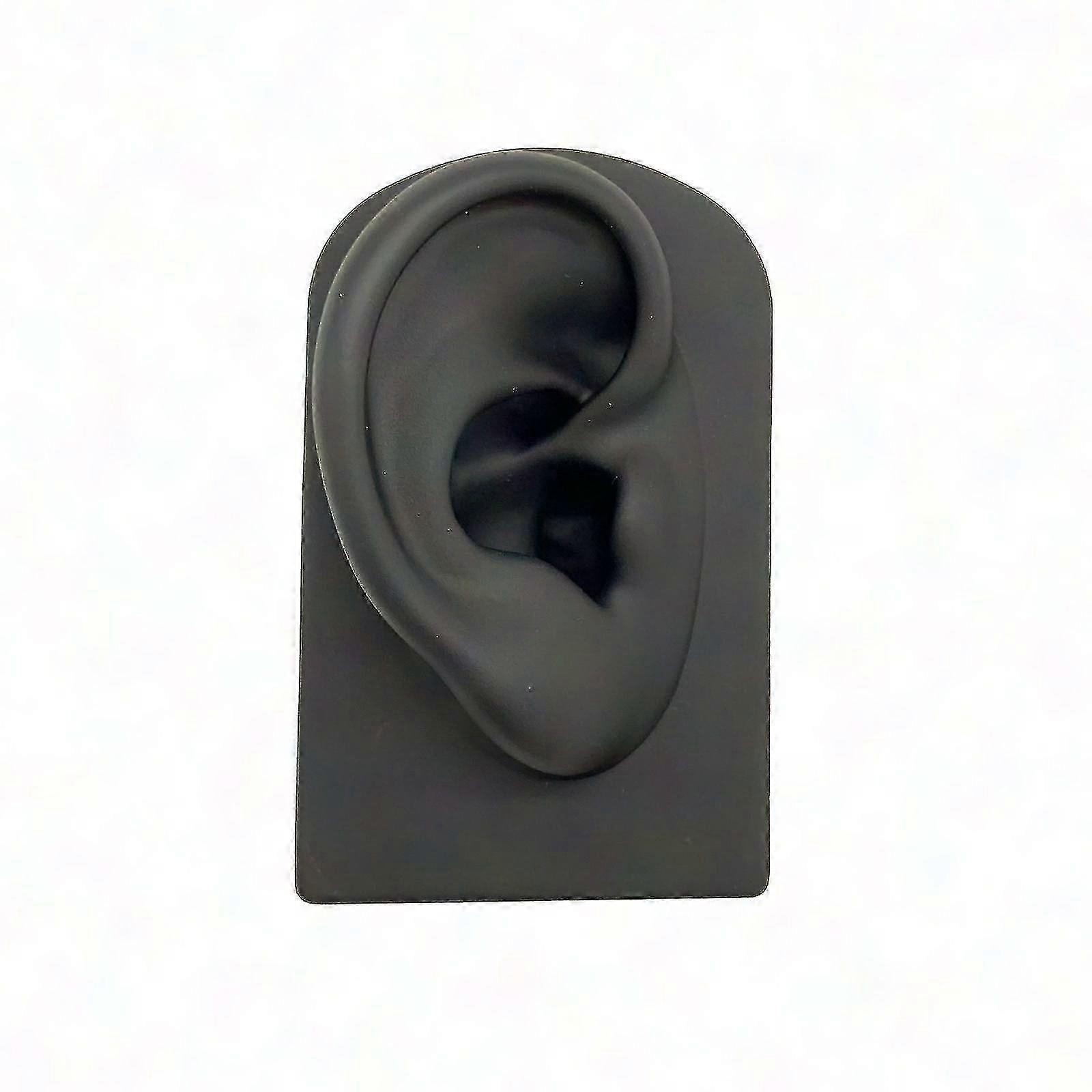 Realistic Silicone Ear Model Display Props for Creative Projects and Product Presentation