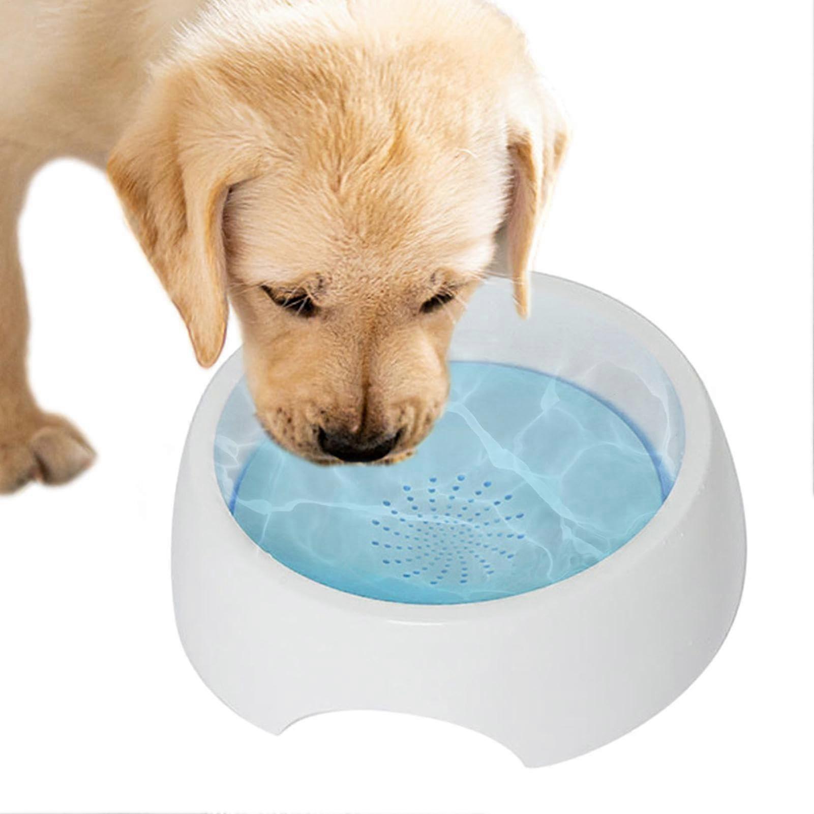 Pet Floating Water Dispenser, Spill Proof Dog Bowl, 1500 ml Cat Fountain, NoSlip, Floating Bowl, Large Capacity, No Drip for Small Animals Sky Blue