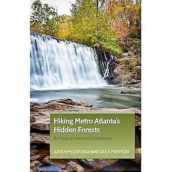 Wandern in den versteckten Wäldern von Atlanta: eine Stunde oder weniger von der Innenstadt entfernt