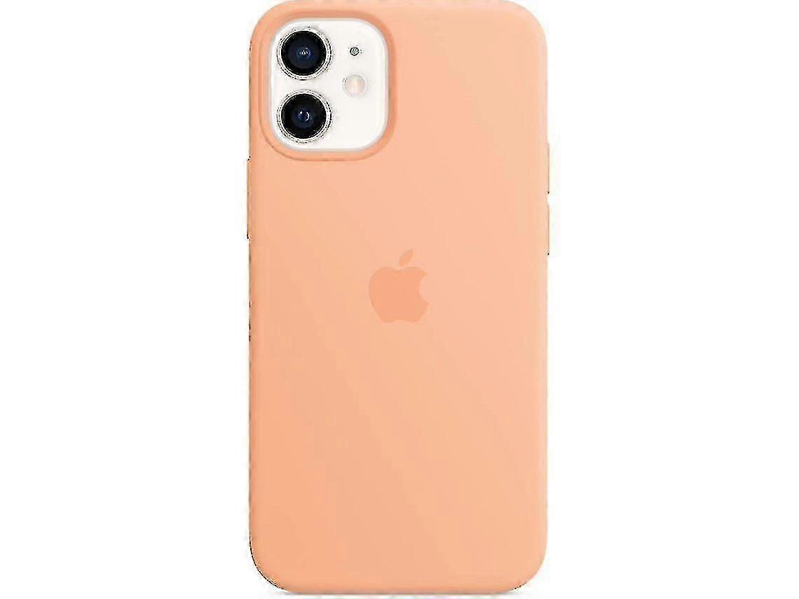 Étui en silicone avec Magsafe pour iphone 12 mini