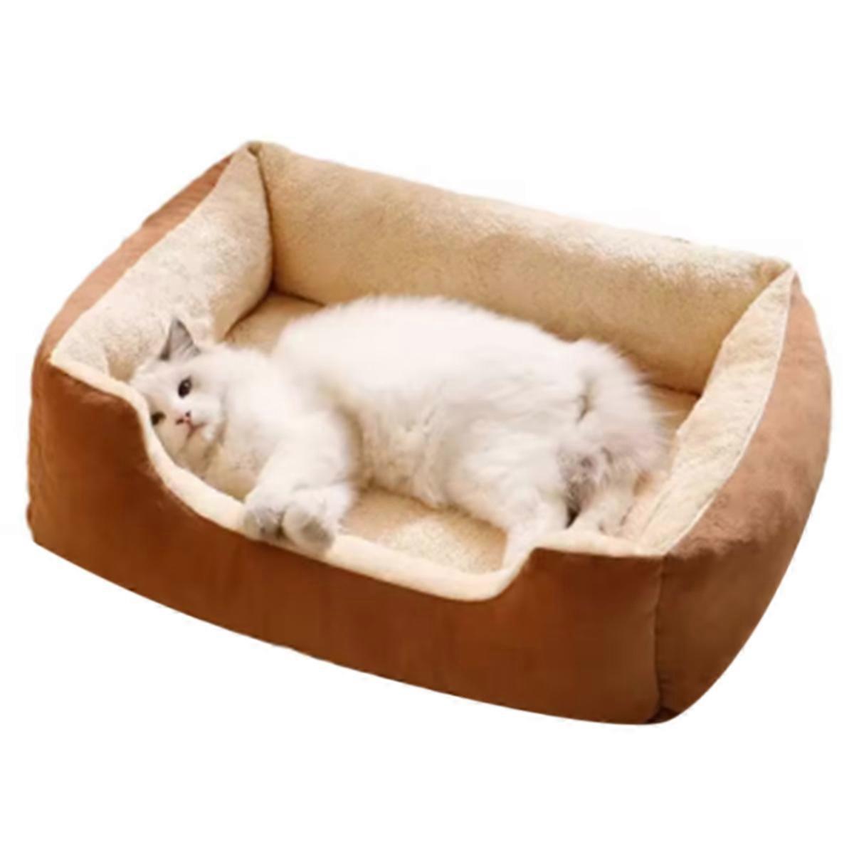 cat bed