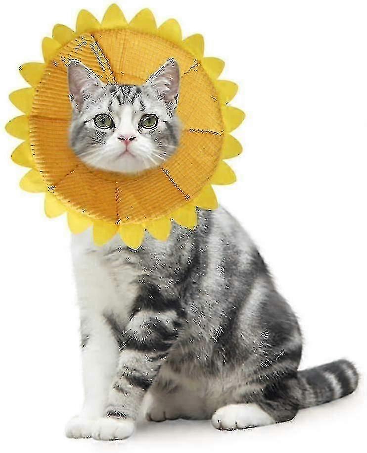 Collier réglable pour chats et chiots motif tournesol