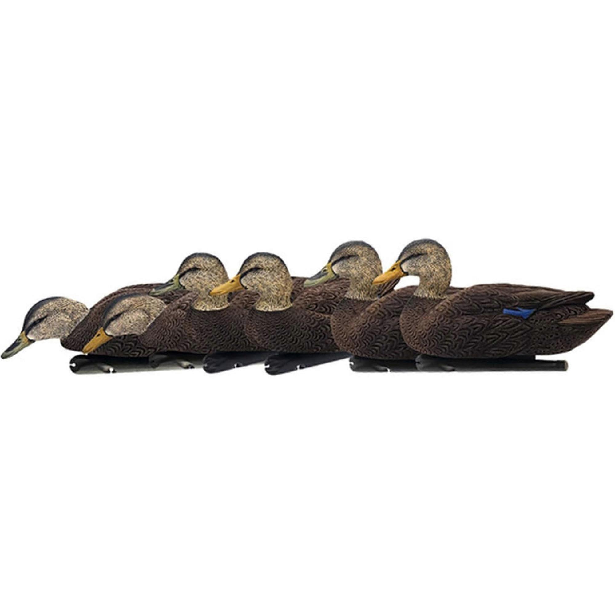 Avian X  Topflight Mallards Flocked Black Ducks Pack of 6 Floating Decoys