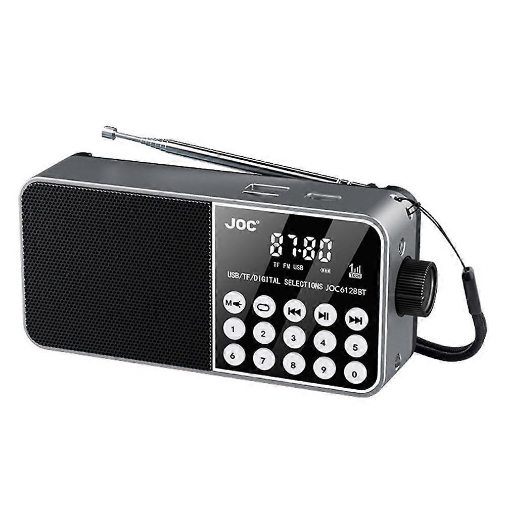Portable Radio Speaker With Digital FM Radio MP3 Player TF Card Support Gray Senior Friendly