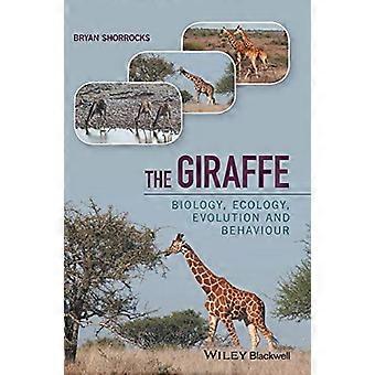Die Giraffe