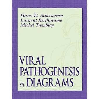 Viral patogenese i diagrammer