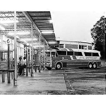 Hund Busbahnhof Daytona Beach Florida 1974 Stressabbau-Puzzle V1110
