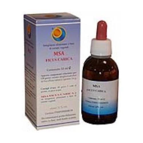 Msa Ficus Carica Gems 50 ml