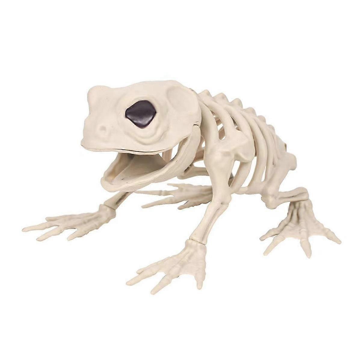 Skeleton Frog Halloween Decorations - Posable Skeleton Animals Skeletons with Posable Joints Hallow