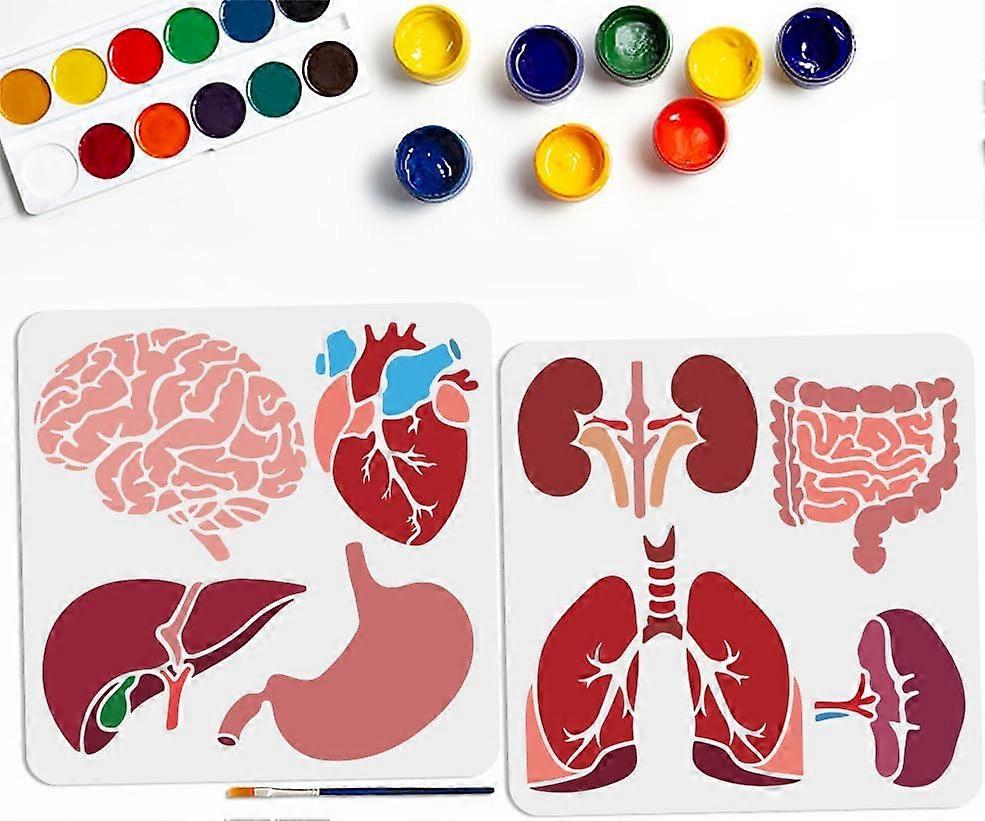 8 Styles Internal Organs Stencil 11.811.8inch Heart Brain Stencils with Painting Brush Reusable Stomach Lungs Intestines Body Organs Template for Wood