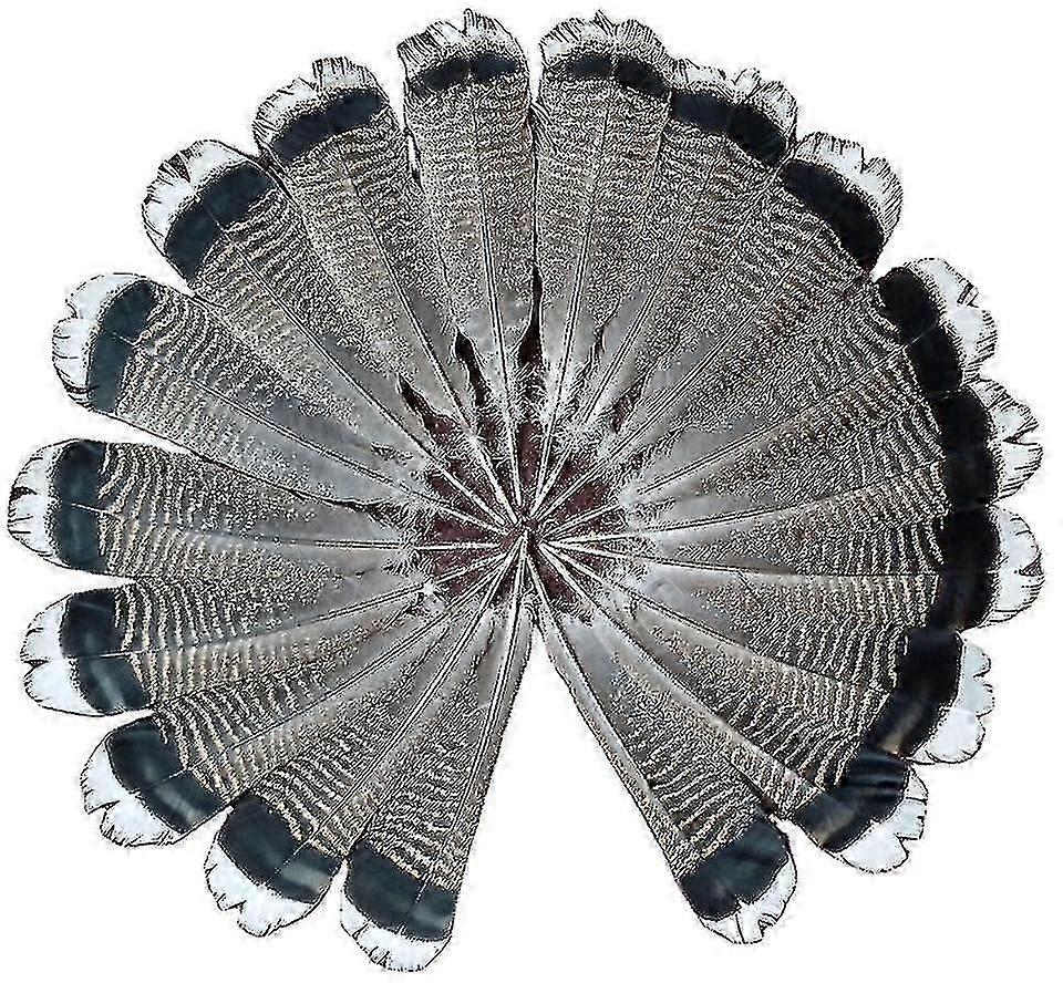 50 قطعة 10-12 بوصة 25-30 سم طبيعي تركيا ريشة ذيل ريشة DIY الملابس الديكور الحرف اليدوية القبعات