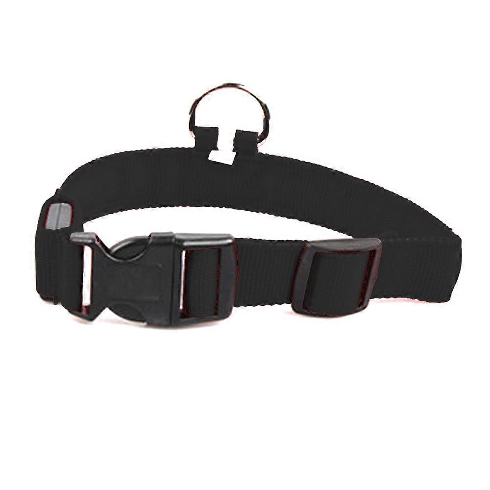 Customizable Pet Collar, Ideal For Nighttime Visibility, Rainbow Color Changing Light Mode Adds A Sparkle, Quick Charge Technology Saves Time,