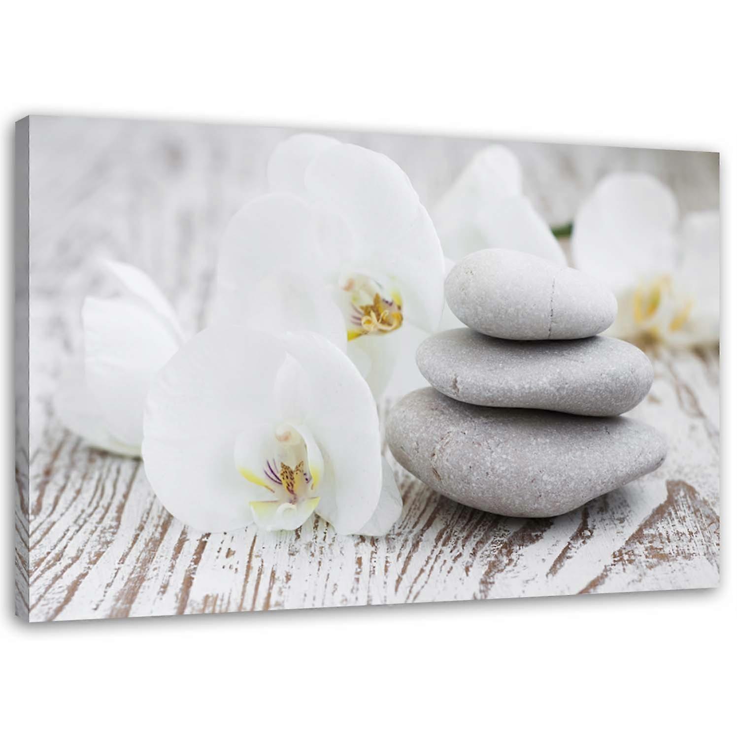 Fotobehang, Witte orchidee en stenen - 60x40