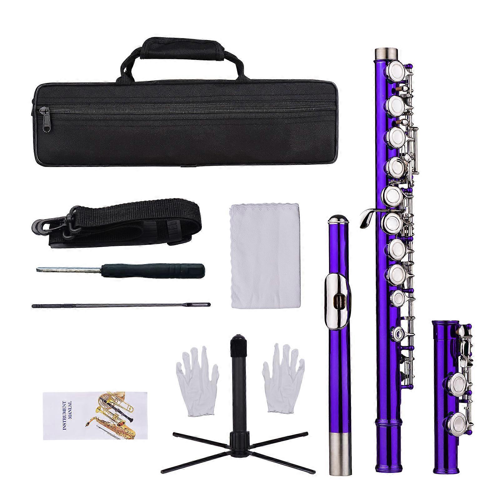 Closed Hole C Flute 16 Keys Cupronickel Nickel-plated Wind Instrument with Carry Case Flute Stand Gloves Cleaning Cloth Mini Screwdriver Cleaning Rod