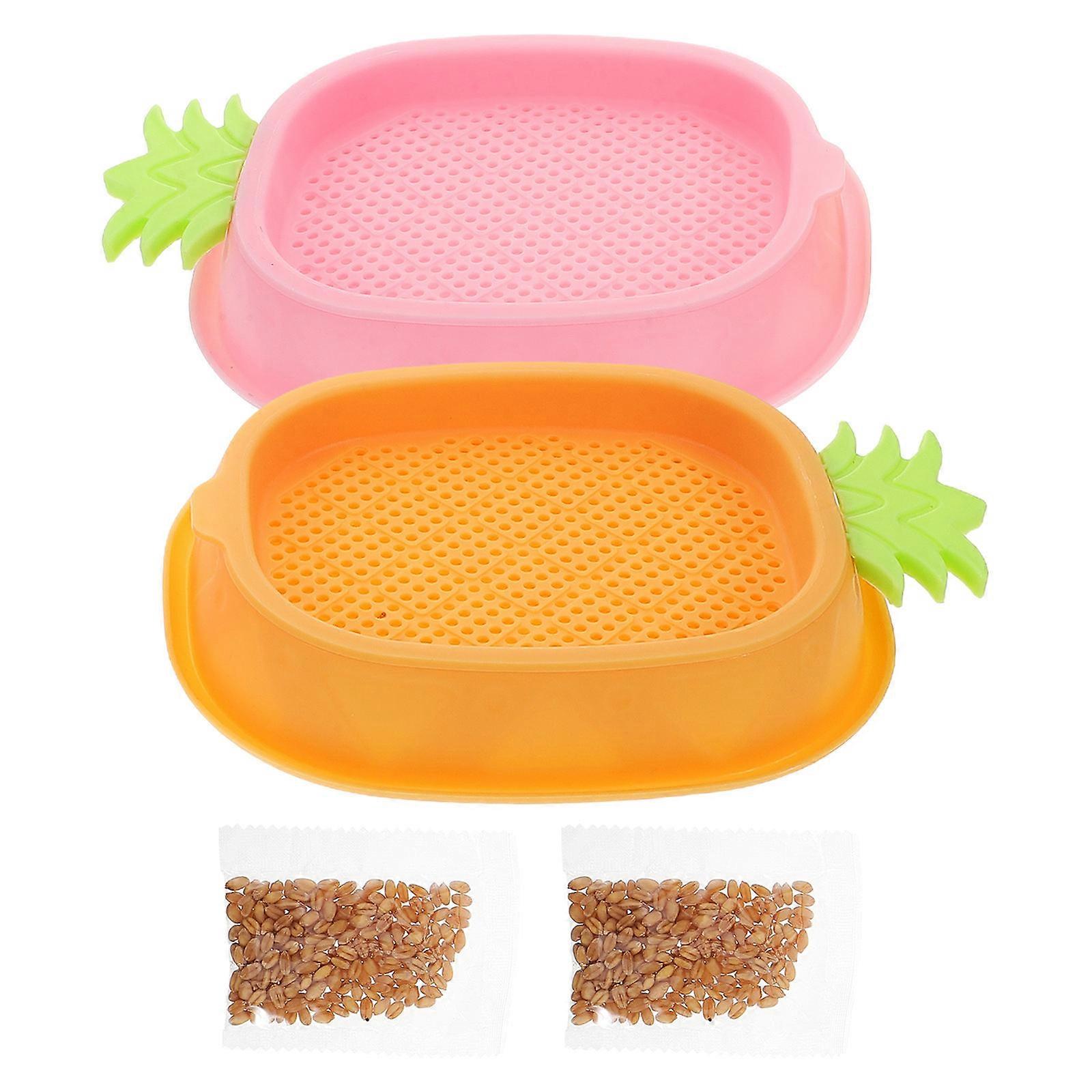 Hydroponic Cat Grass Planter for Indoor Use Assorted Color Plastic Planter for Kids and Pets 2pcs