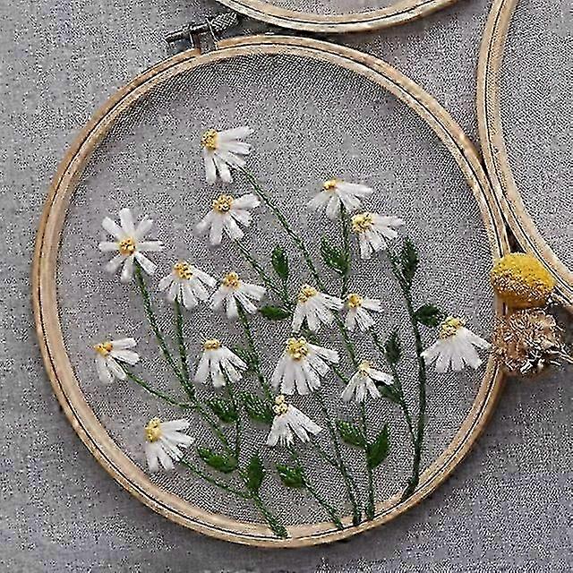 European Mesh Embroidery DIY Kits with Cross Stitch & Flower Painting for Beginners: Full Needlework Sets