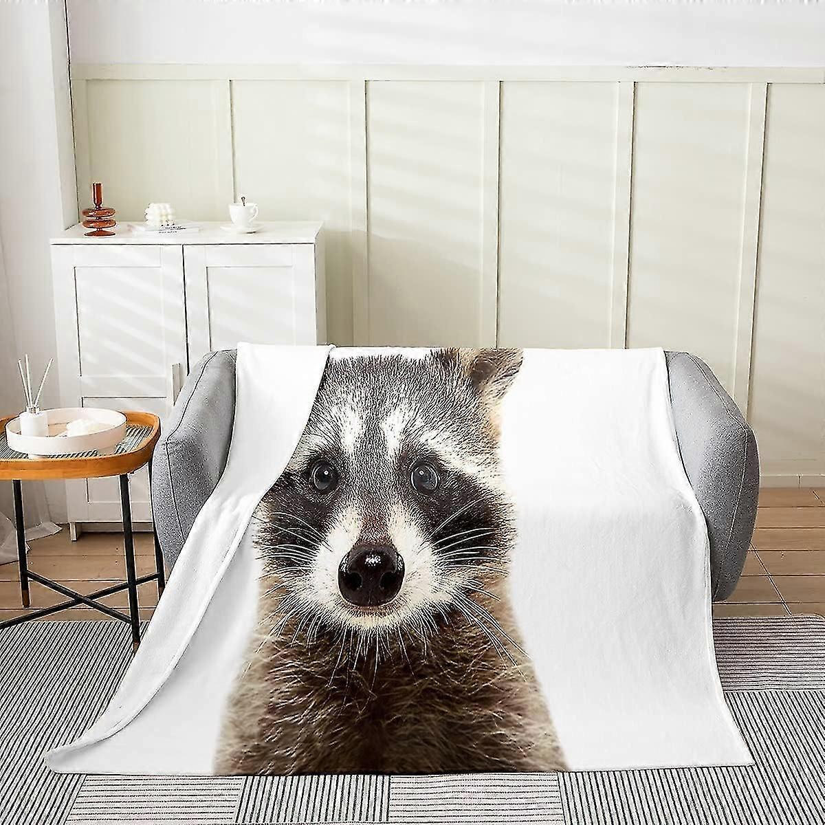 warm raccoon throw blanket for sofa bed