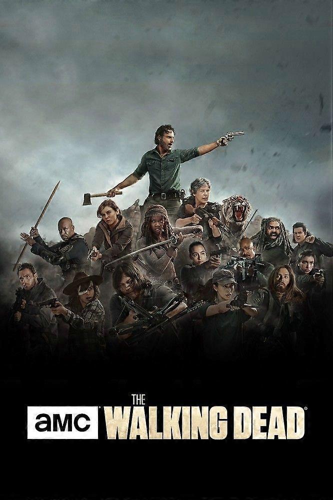 Rompecabezas antiestrés de The Walking Dead EB 0936