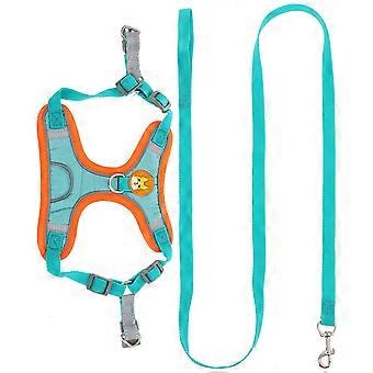 Outdoor Dog Harness Wear-Resist Pet Harness Kit with Leash 5Sets for Puppies
