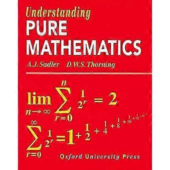 Reine Mathematik verstehen