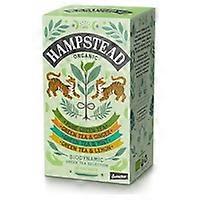 Green tea selection pack 20 infusion bags