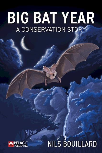 Big Bat Year by Nils Bouillard Paperback